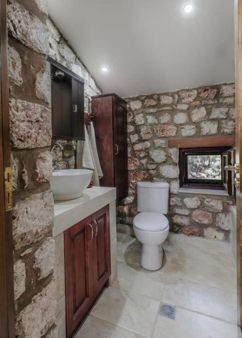 Villa Petronas Land House 2 à Archangelos  Extérieur photo