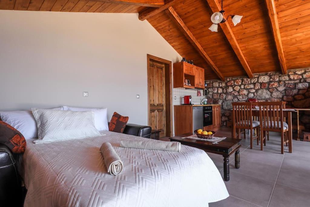 Villa Petronas Land House 2 à Archangelos  Extérieur photo