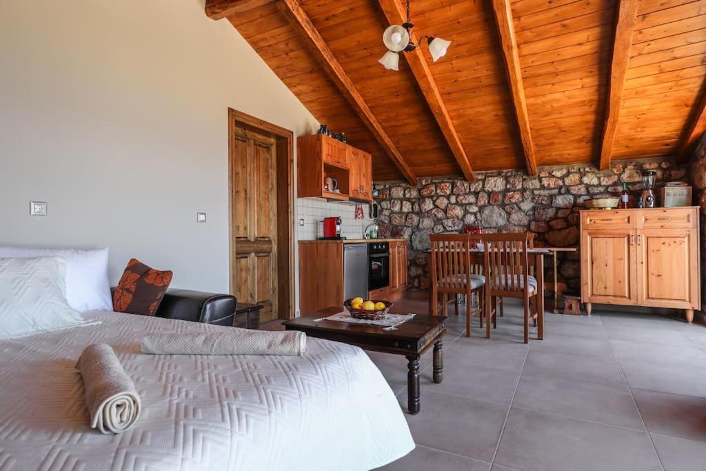 Villa Petronas Land House 2 à Archangelos  Extérieur photo